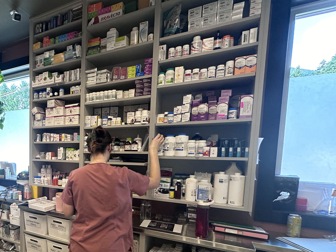 pharmacy