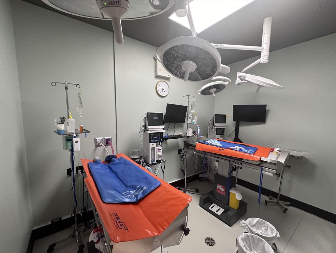 surgery suite